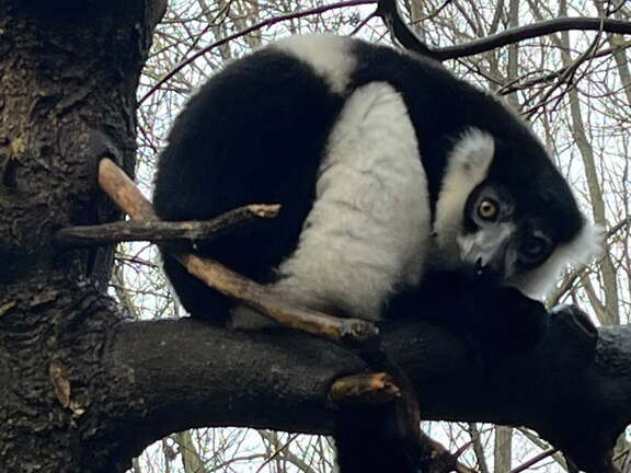 24-12-06 14-35-10 1647